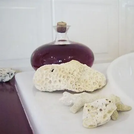 Gasthof Villa Marambat 3*