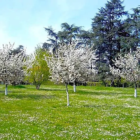 בית הארחה Villa Marambat 3*