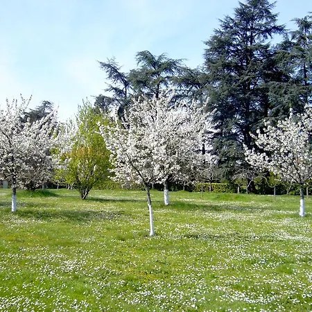 Villa Marambat Gasthof